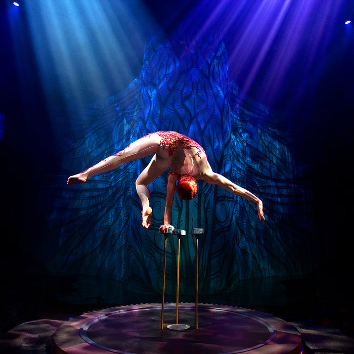 Show Joyá de Cirque du Soleil